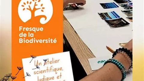 Jeu : Fresque de la biodiversité